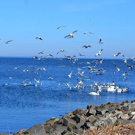 Ferienwohnung ab zum Haff Ueckermünde Zimmer foto