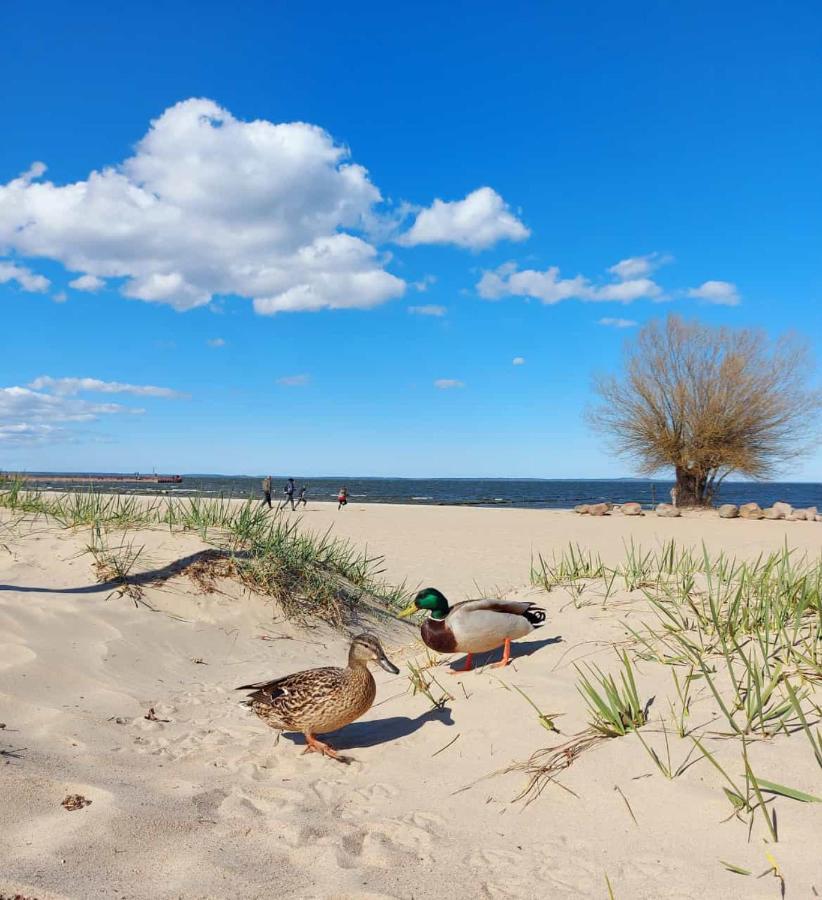 Ab Zum Haff Apartment Ueckermünde