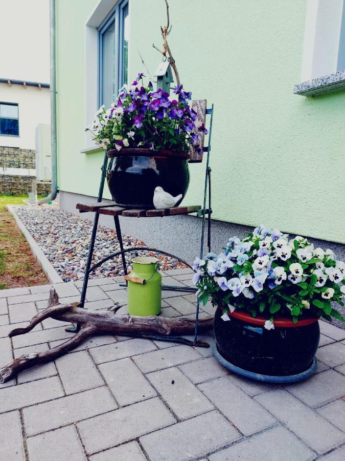 Apartment Ab Zum Haff Ueckermünde