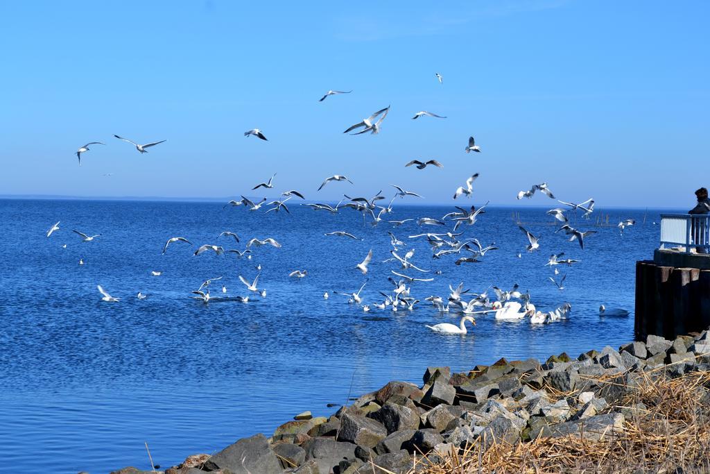 Ab Zum Haff * Ueckermünde